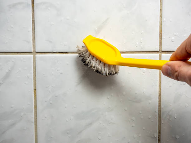 Best Mold Testing  in Willow Grove, PA